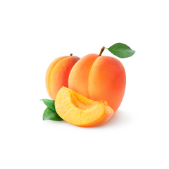 Apricot