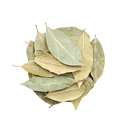 Bay Leaf