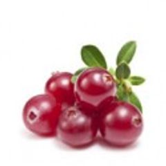 Cranberry