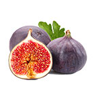 Fig