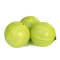 Gooseberry