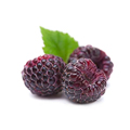 Black Raspberry