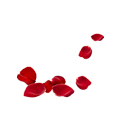 Rose Petals