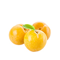 Yellow Plums