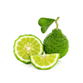 Bergamot