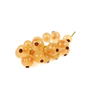 White Currant