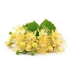 Linden Flowers