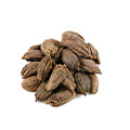 Black Cardamom