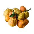 Sicilian Citrus Fruits