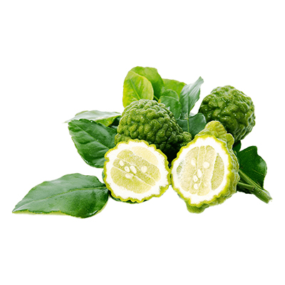 Kaffir Lime