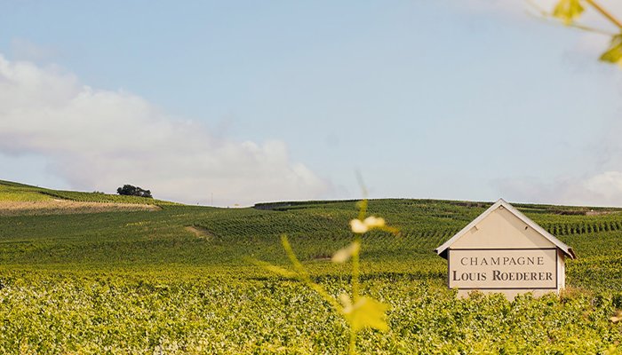 Louis Roederer