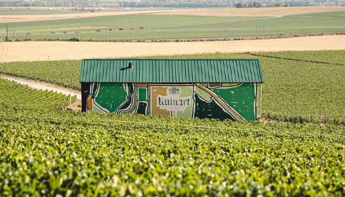 Ruinart